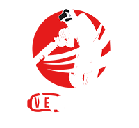 WeR CRICKET logo